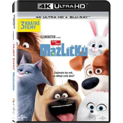 Bontonfilm a. s Сами вкъщи - 2Blu-ray (4K Ultra HD + Blu-ray) (016302)