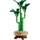 LEGO® The Botanical Collection - Lucky Bamboo (10344)