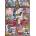 Pieces & Peace - Puzzle Christmas Bookshop - 1 000 piese