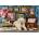 Anatolian - Puzzle Labrador - 500 piese