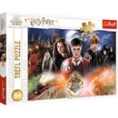 Puzzle TREFL Tajemný Harry Potter 300 dielov