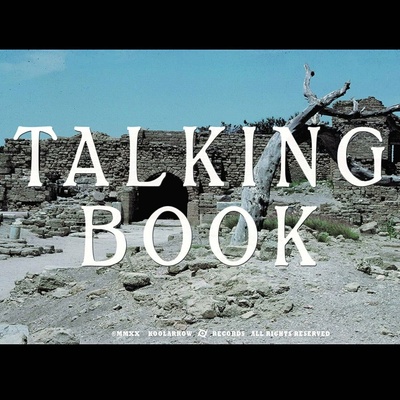 Talking Book - Talking Book Ii LP