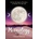 Hay house uk Moonology diary 2026 | 2026