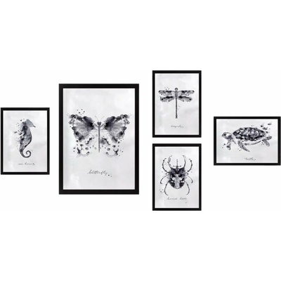 Wallity Butterfly obraz bílá