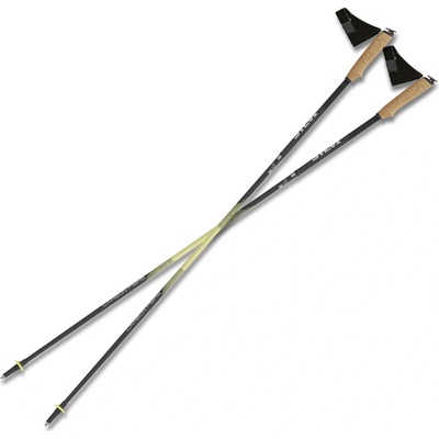 Silva Running Poles Carbon