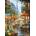 Castorland - Puzzle Spring flowers, Paris - 1 000 piese