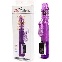 Lybaile Mr. Rabbit