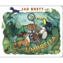 The Umbrella Brett JanBoard Books