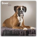 Boxer 2024