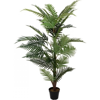 Palma Areca, 150 cm