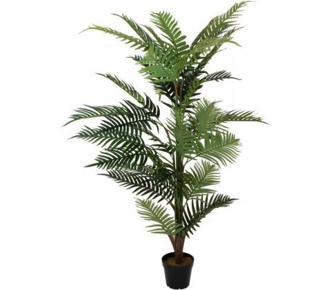 Palma Areca, 150 cm