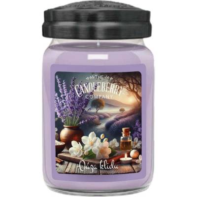Candleberry Candle Oáza klidu 624 g