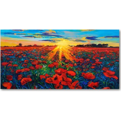 Foto obraz fotografie na skle pole makov 100x50 cm