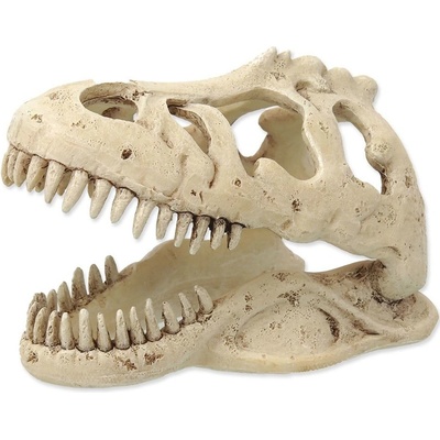 Repti Planet T-Rex lebka 13,3x8,5x9 cm – Zboží Mobilmania