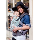 Tula Standard Canvas Carrier Equilateral