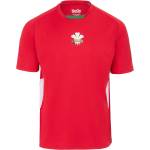 KooGa Мъжка тениска KooGa Rugby T-shirt Mens - Wales