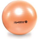 Ledragomma Gymnastik Ball Maxafe 65cm