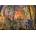 Educa - Puzzle Curioso, Vincent Hie - 500 piese