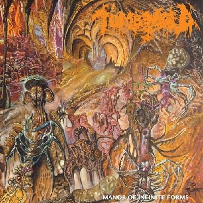 Manor of Infinite Forms - Tomb Mold CD
