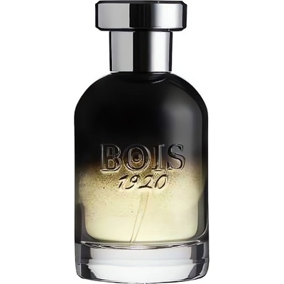 Bois 1920 Centenario parfémovaná voda unisex 100 ml