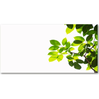 Fotoobraz na skle lístie 100x50 cm