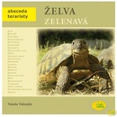 Želva zelenavá