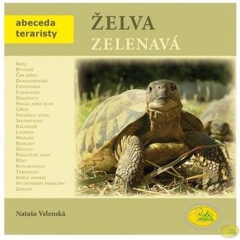 Želva zelenavá