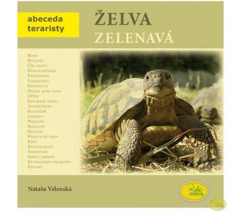 Želva zelenavá