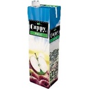 Cappy jablko 100% 1l