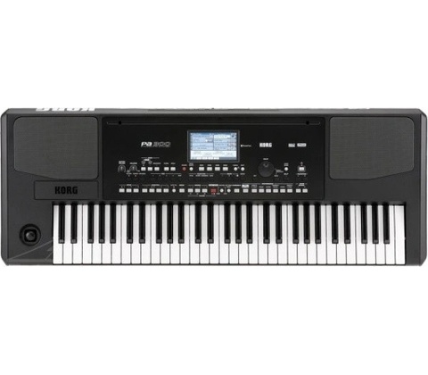 Korg PA300