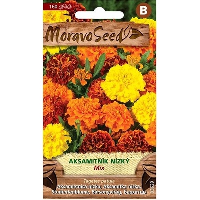 MORAVOSEED CZ Aksamitník rozkladitý plnokvětý, směs