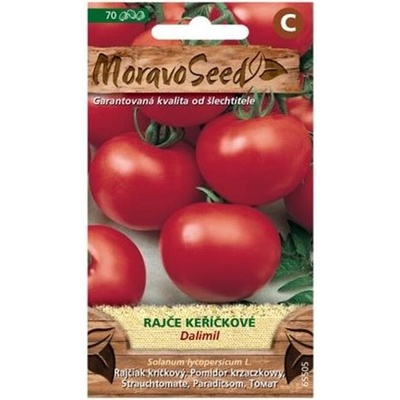 Moravoseed Rajče keříkové Dalimil 70 ks