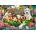 Castorland - Puzzle Pets in the Park II - 1 000 piese