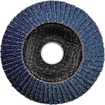 Metabo Lamelový brusný kotouč 22.23 mm 623145000 10 ks