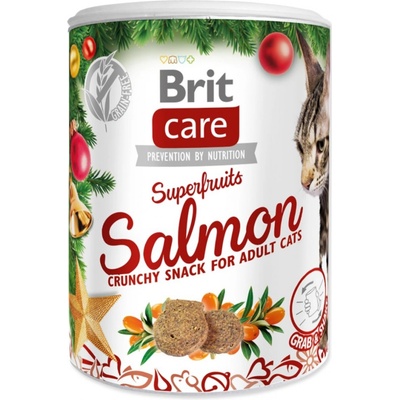 Brit Care Cat Christmas Superfruits 100 g – Zboží Mobilmania