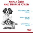Royal Canin Starter Mother&Babydog Medium 1 kg