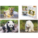 Puzzle Efko set mláďátka v Zoo 20 40 a 60 dielov