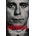 Goebbels Longerich Peter