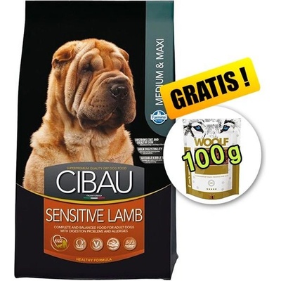 Cibau dog Adult sensitive lamb Medium & maxi 12 kg
