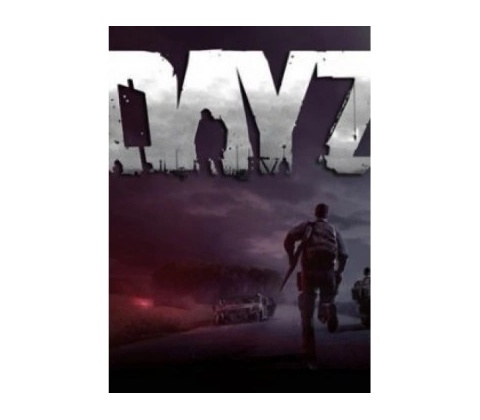 DayZ