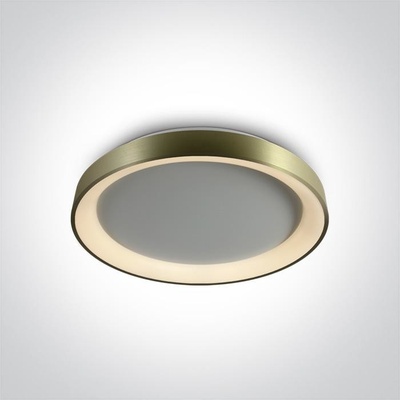 ONE LIGHT 62130L/BBS/V