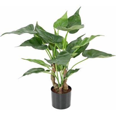 Luxusní umělá rostlina ALOCASIA CUCULLATA, 50cm
