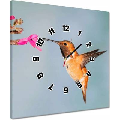 žiadna značka Hodiny 40x40 cm Kolibrík pri pití nektáru