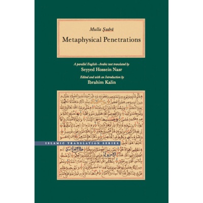 Metaphysical Penetrations