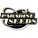 Paradise Seeds Allkush semena neobsahují THC 3 ks