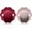 Suavinex Wonder SX Pro Physiological 6-18 m биберон Viva Magenta + Mauve Chalk 2 бр