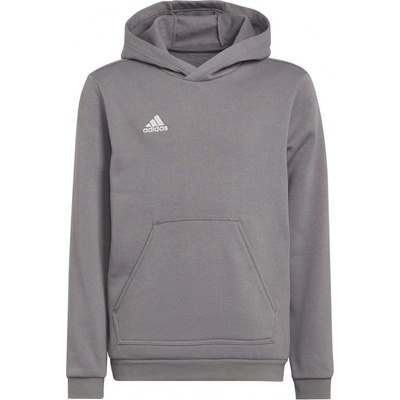 adidas Ent22 Hoody Y H57515 šedá