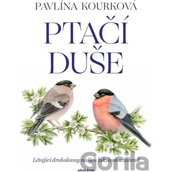 Ptačí duše