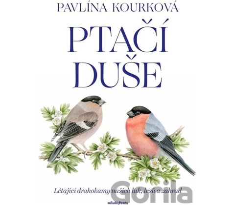 Ptačí duše