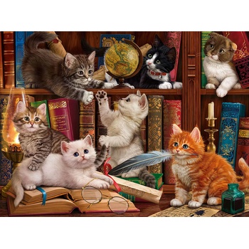 SunsOut - Puzzle Library Kittens 1000 - 1 000 piese